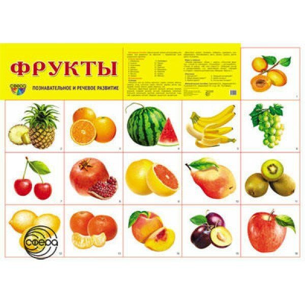 Плакат овощи и фрукты