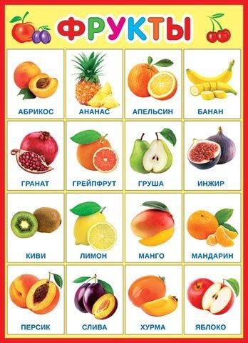 Плакат овощи и фрукты