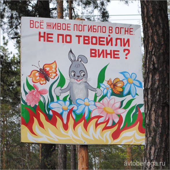 Плакат в защиту редких животных