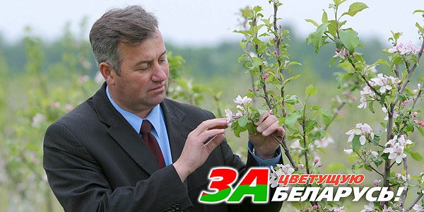 Белта плакаты (49 фото)