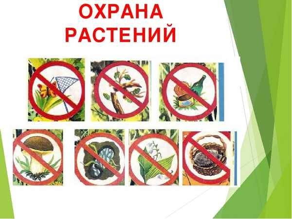 Охрана растений