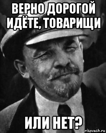 Верной дорогой идете товарищи