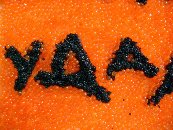 Андрей Логвин жизнь удалась