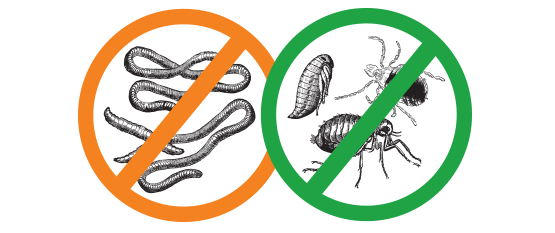 Профилактика от паразитов