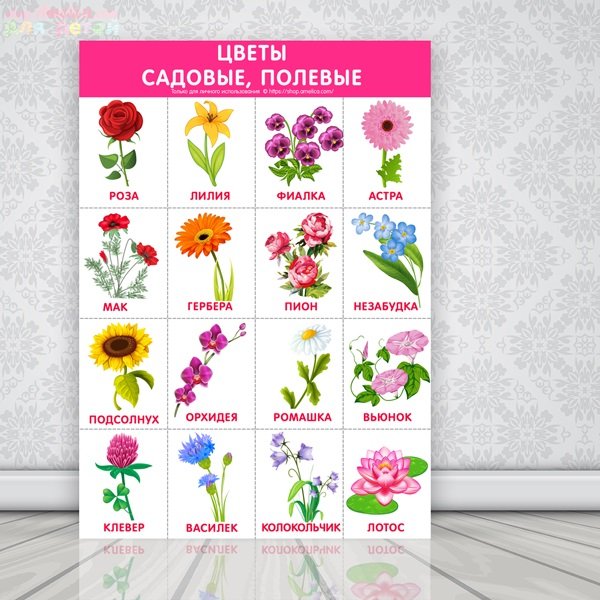 Обучающие плакаты для детского сада