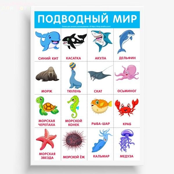 Карточки морские обитатели