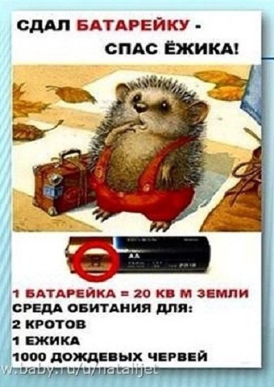 Сдал батарейку спас ежа