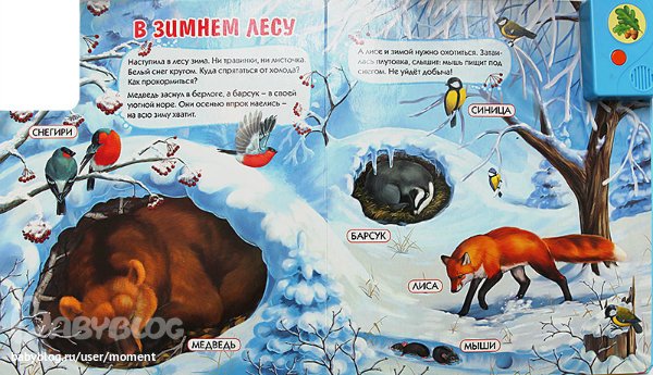 Книги для детей о зимовке зверей