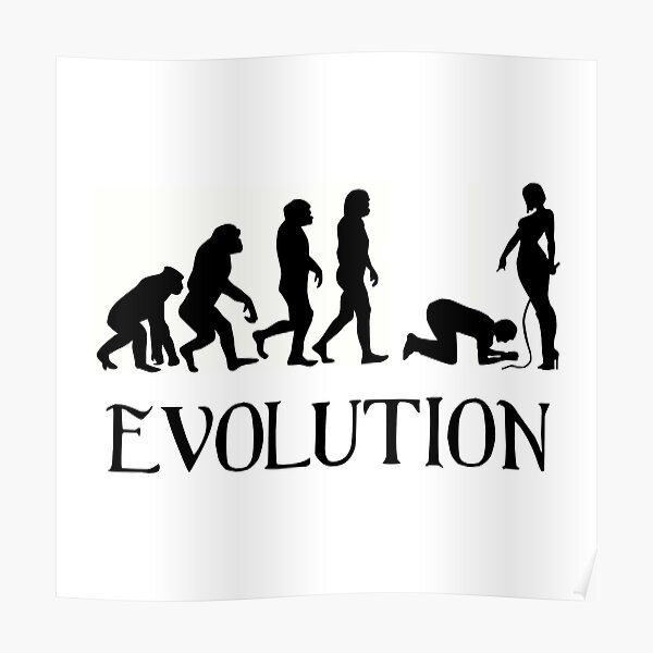 Эволюция баскетболиста