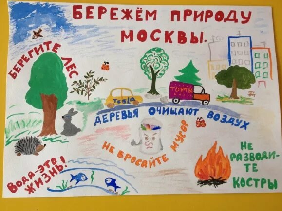 Плакат берегите растения