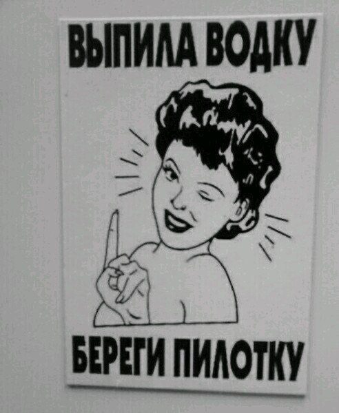 Плакат выпила водку береги пилотку