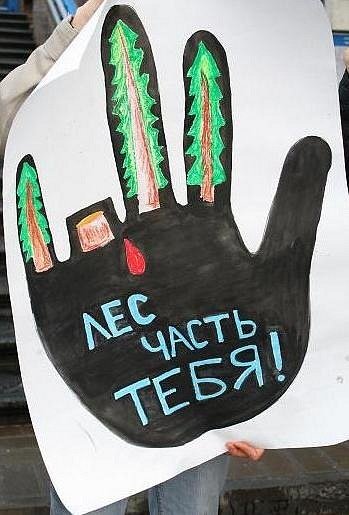 Плакат защита леса от вырубки