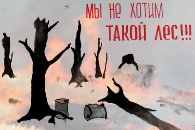 Плакат на тему вырубка лесов