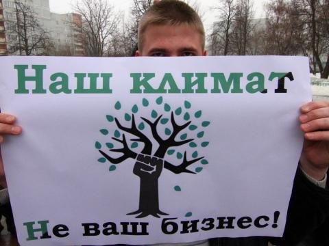 Слоган против вырубки лесов