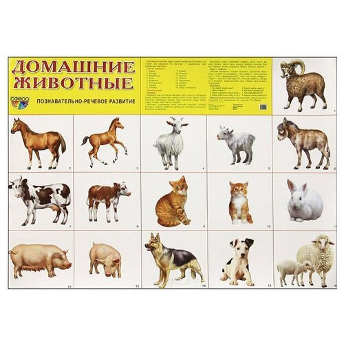 Плакаты про домашних животных