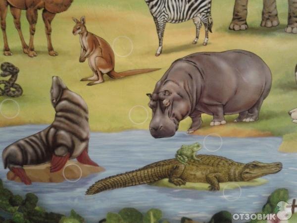 Inteltoys плакат