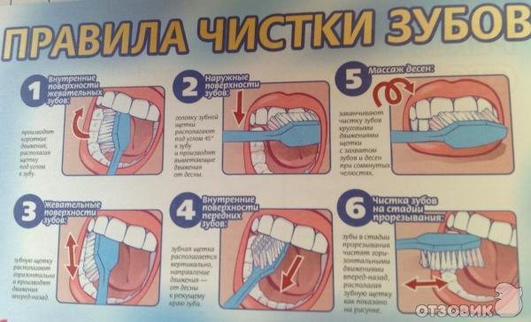 Плакат правильной чистки зубов