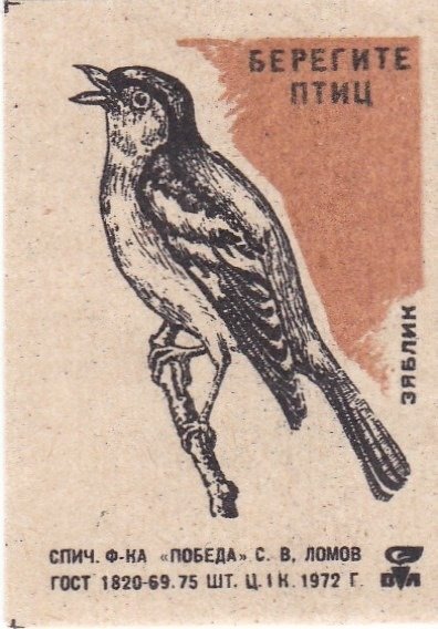 Плакат берегите птиц