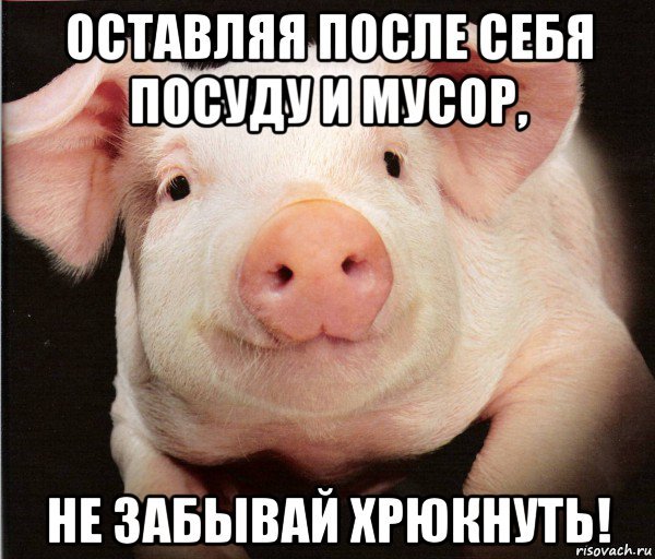 Поел убери за собой