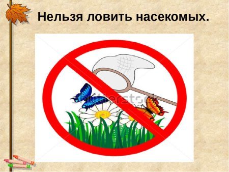 Запрещающие знаки в природе