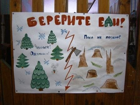 Листовка в защиту хвойных