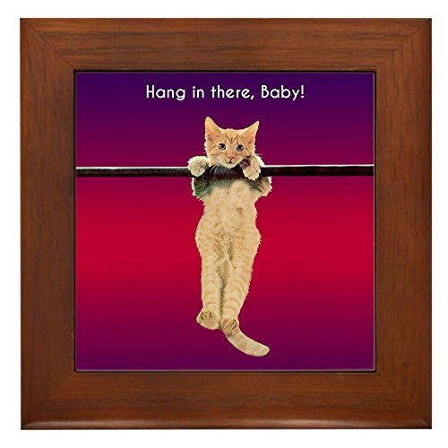 Плакат с котиком держись