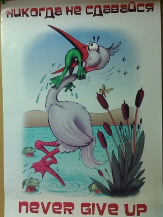 День никогда не сдавайся 18 августа