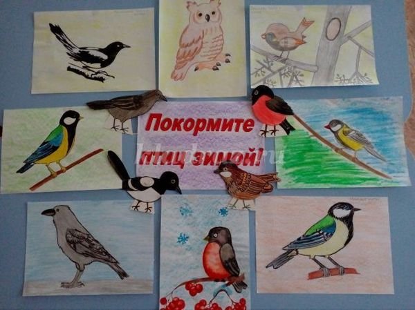 Плакаттпоеормите птиц зимой
