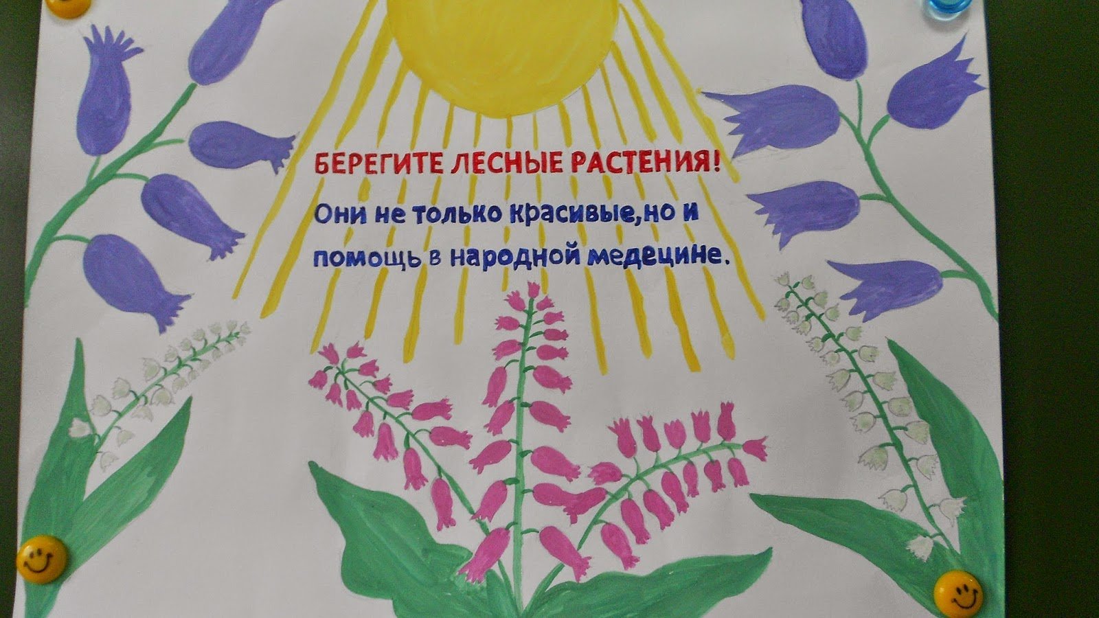 Плакат в защиту дикорастущих растений