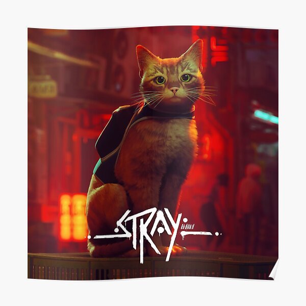 Stray Cat Art