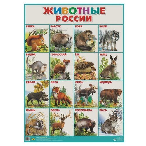 Плакат Литур животные России