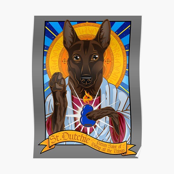 Анатомия собаки для кинолога