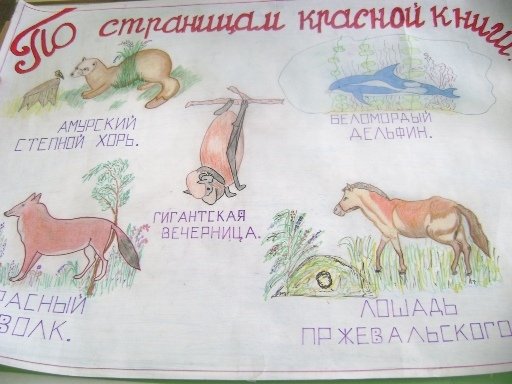 Плакат на тему красная книга России