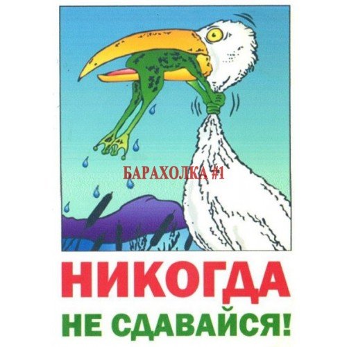 Никогда не сдавайся!