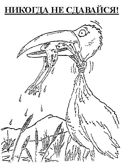 Never give up цапля