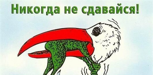 Картина never give up