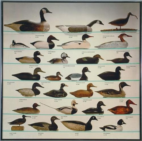 Плакат с уточками