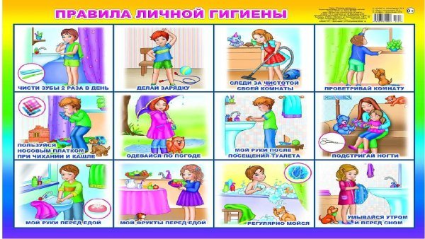 Правила гигиены