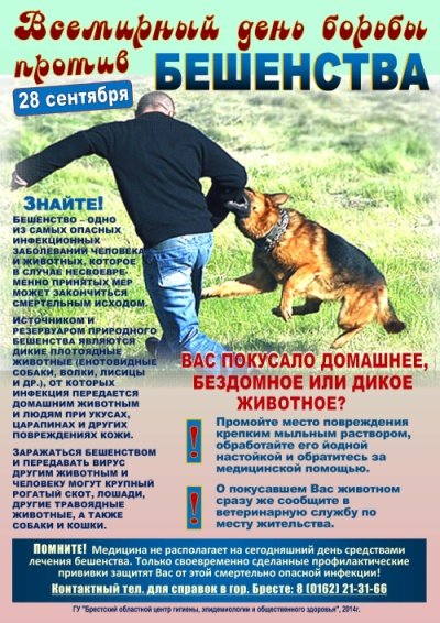 Бешенство возбудитель пути передачи симптомы