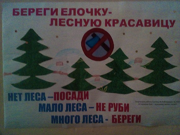 Плакат не рубите елочку