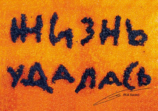 Андрей Логвин жизнь удалась