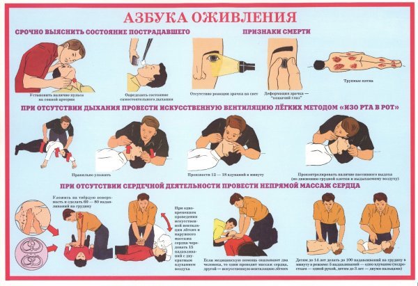 Стенд оказание первой медицинской помощи