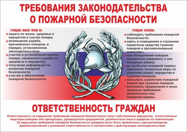 Плакат Мои права