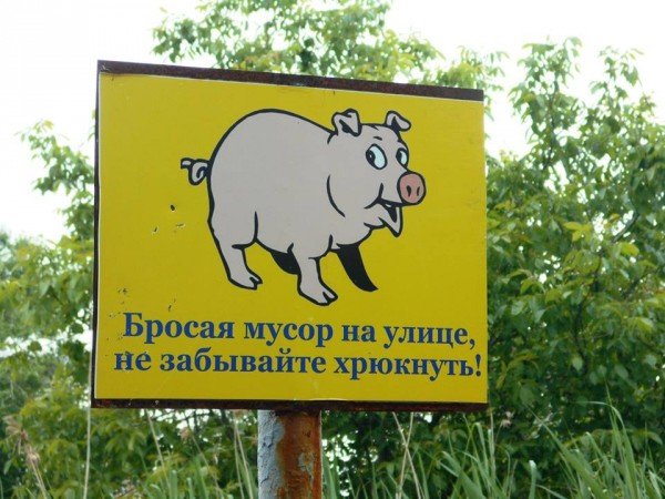 Бросая мусор не забудьте хрюкнуть
