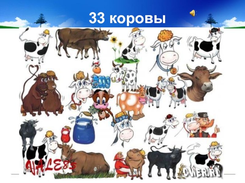 Корова плакат. Корова с табличкой. Плакат 33 коровы. Постер корова. Вдохновенный герой песни 33 коровы