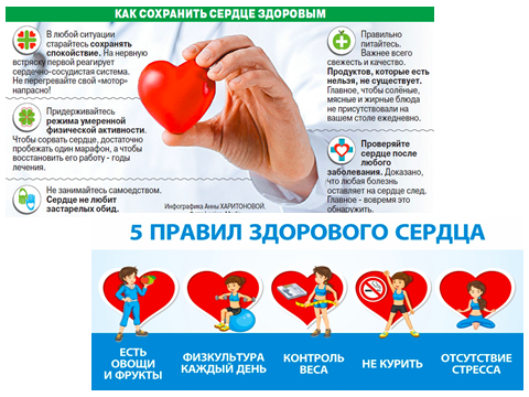 Профилактика острого инфаркта миокарда памятка