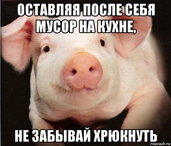 Убери за собой посуду