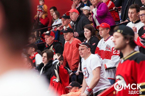 Плакаты болельщиков хоккея