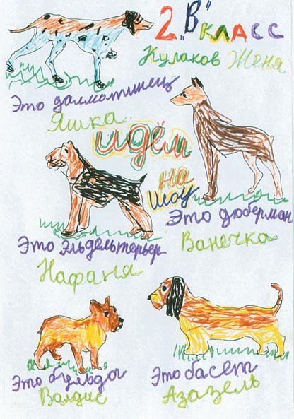 Команды и жесты ОКД для собак