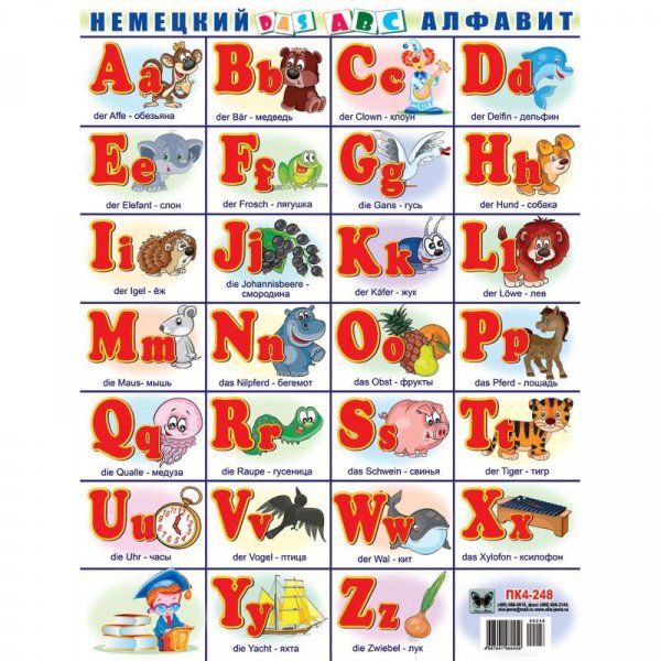 Сколько букв в немецком языке алфавите